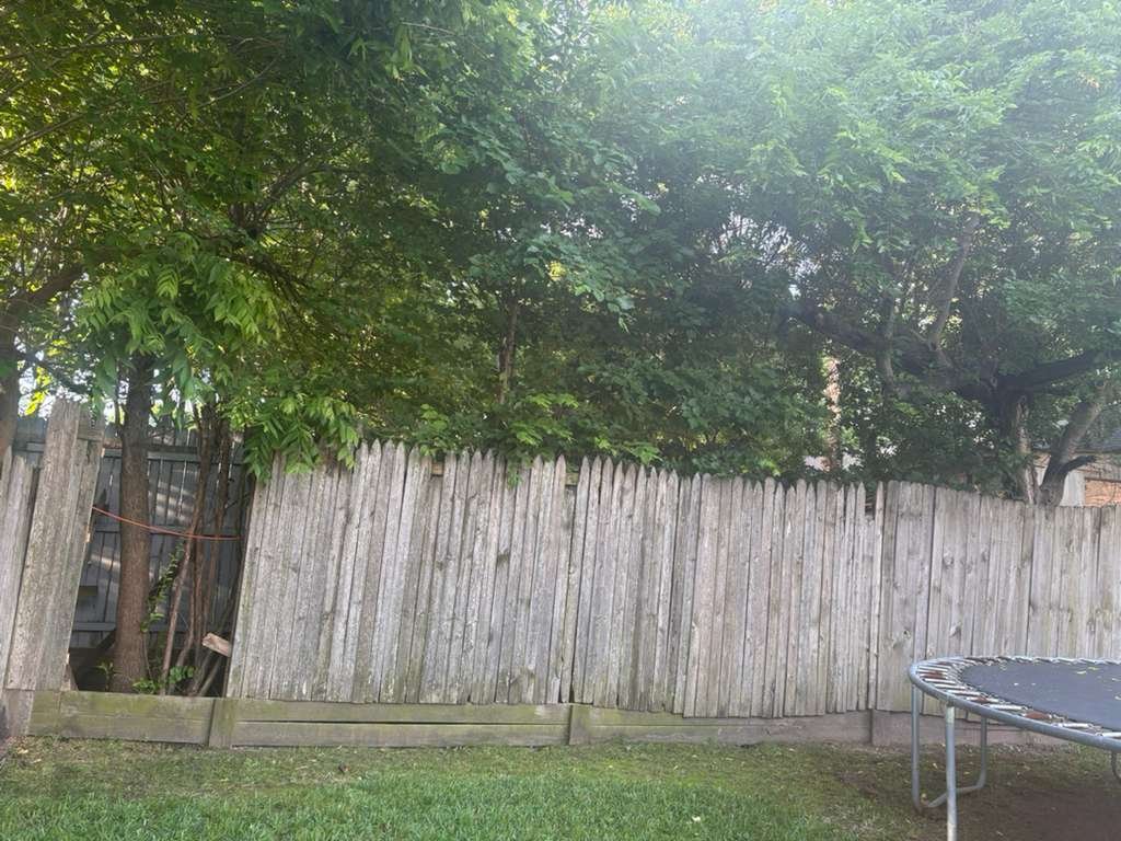 Premium Fencing Project